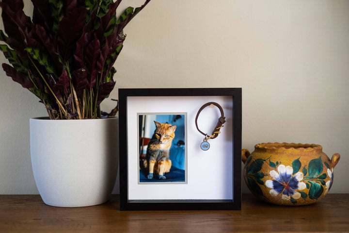 Pet Collar Picture Frame, Black