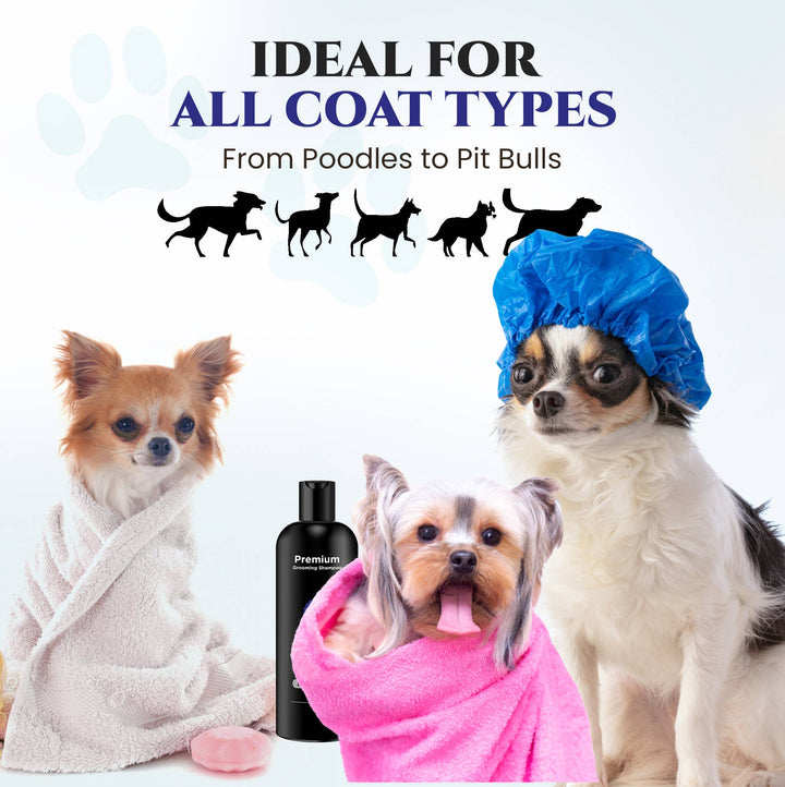 Premium Blue Ribbon Shampoo Deodorizer