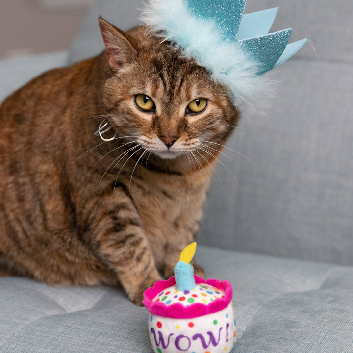 Party Crown Blue with SnugFit®: Large