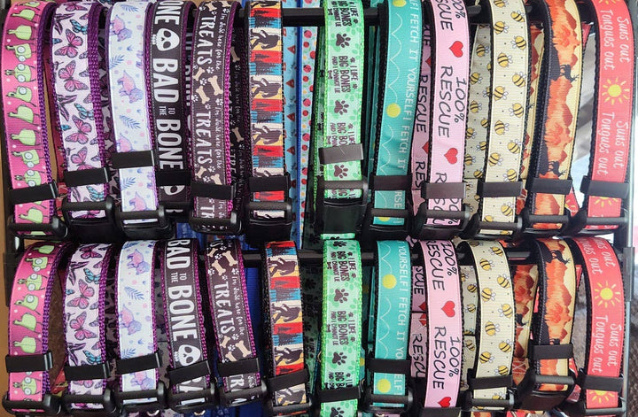 Doot's Mixed Nylon Dog Collars 30 pc  Bulk & Free Samples
