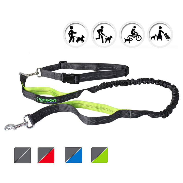 GOOPAWS No Pull Hand Free Bungee Leash, Green