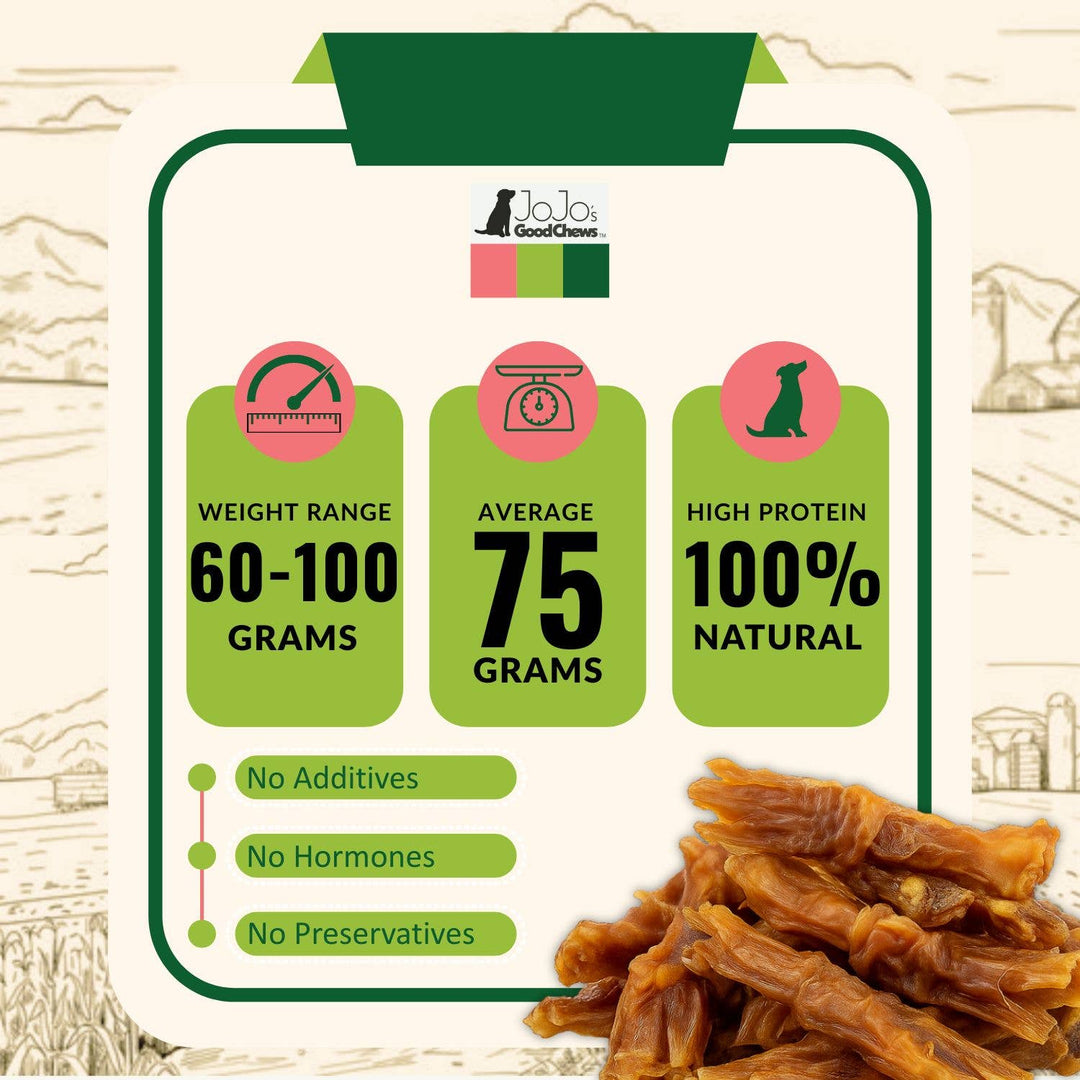 All-Natural Jumbo Beef Y Tendon Chew for Dogs - 6"–9" Inches