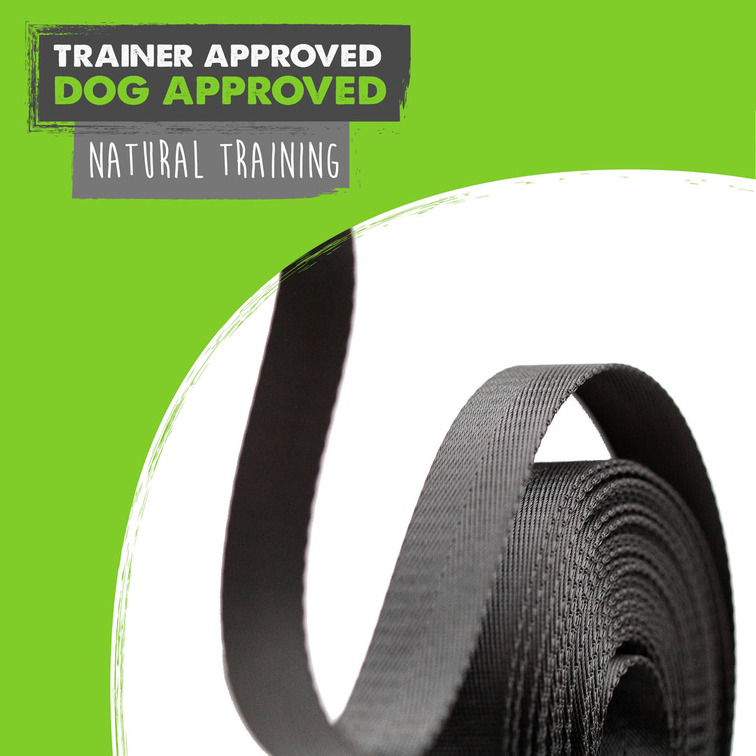 Long Dog Leash: 15 feet