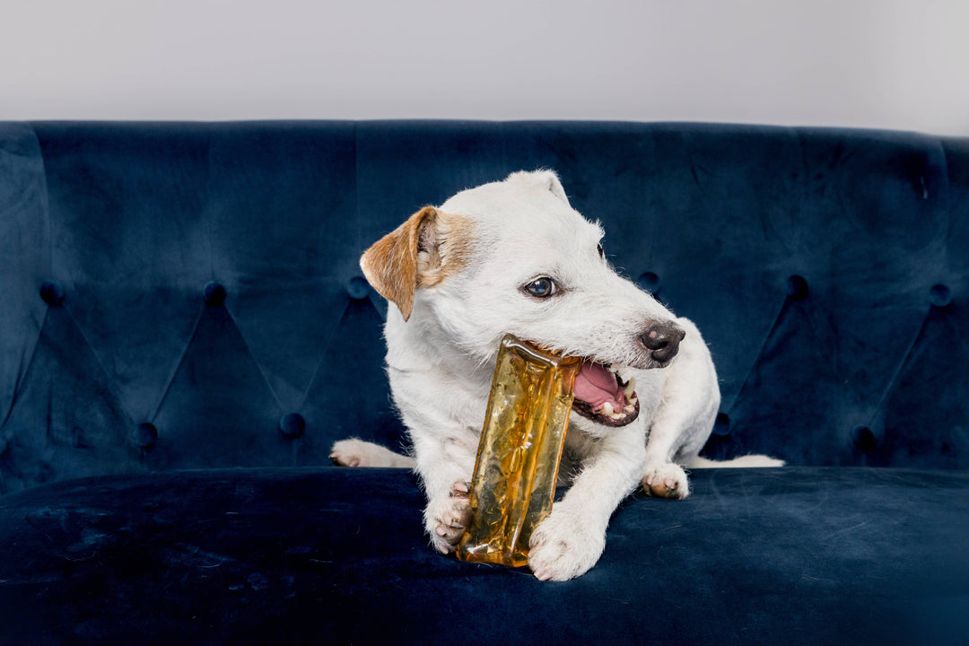 Mighty Marrows Collagen Dental Chew - Spirulina Beef - SM/LG: Large