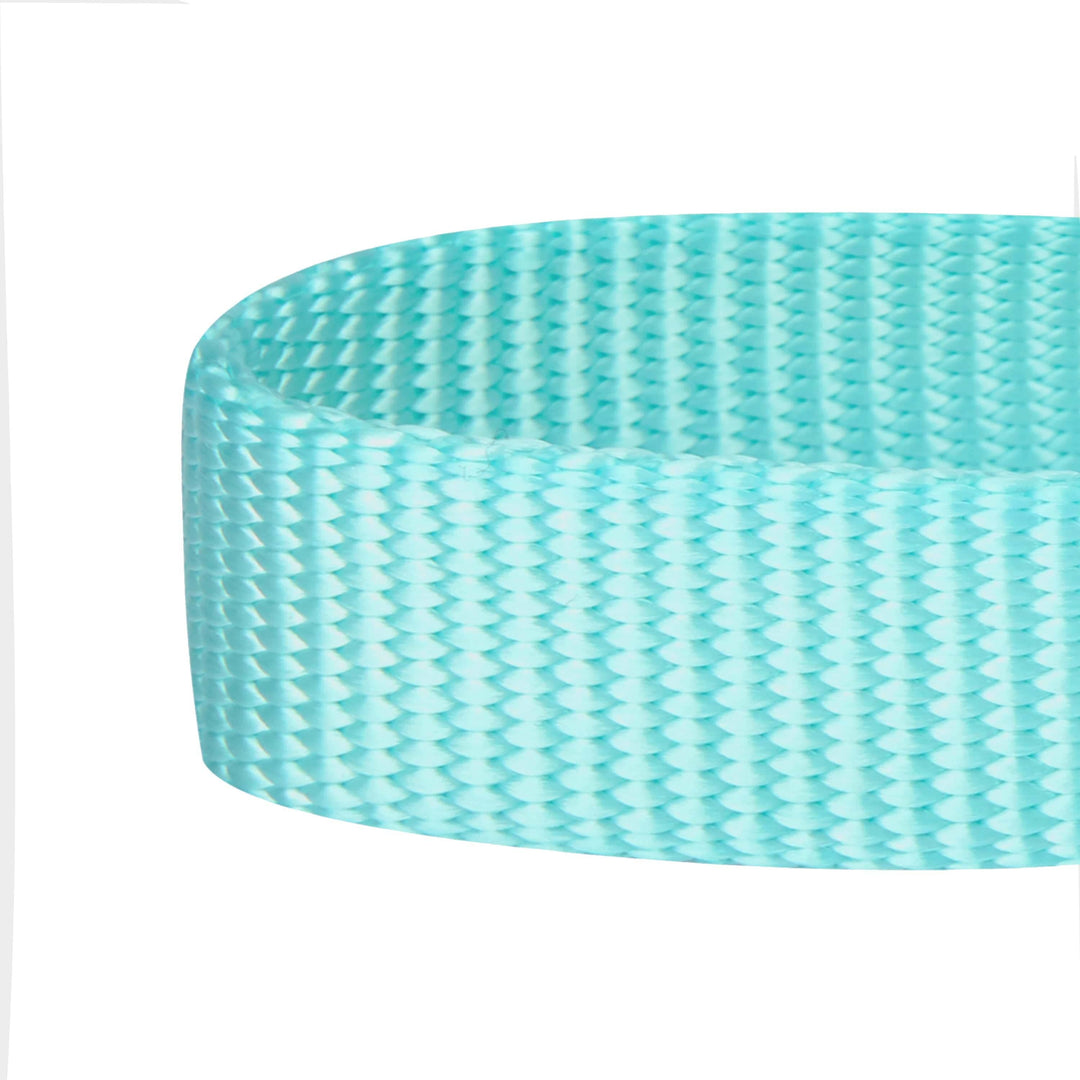 Blueberry Pet Martingale - Mint Blue - SM