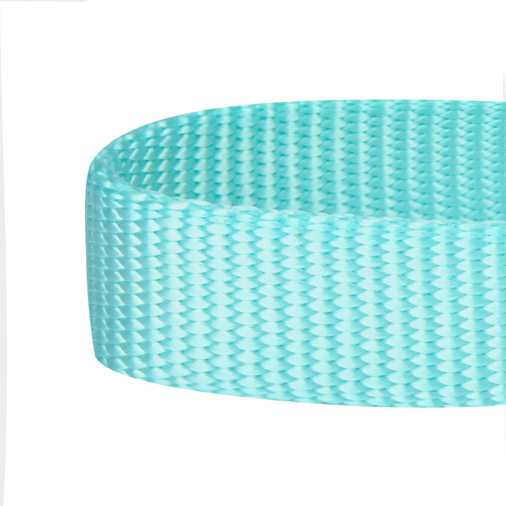 Blueberry Pet Martingale - Mint Blue - SM