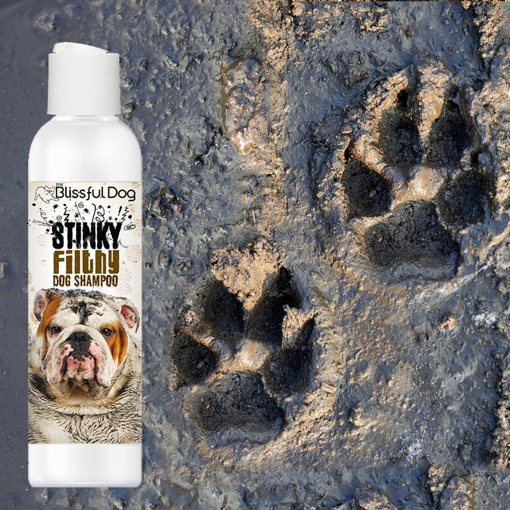 Blissful Dog - Stinky Filthy Shampoo