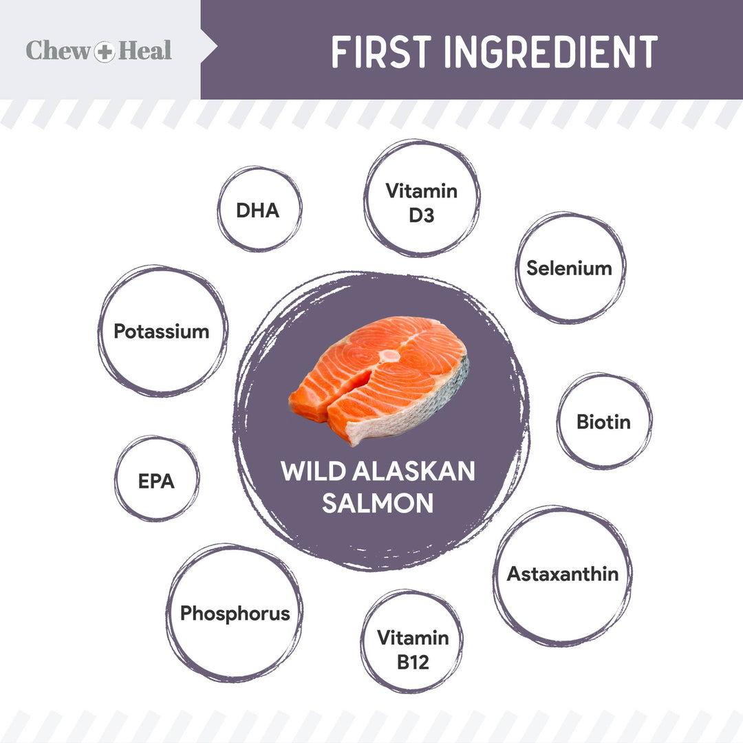 Senior Wild Alaskan Salmon Limited Ingredient Dog Treats: 5oz