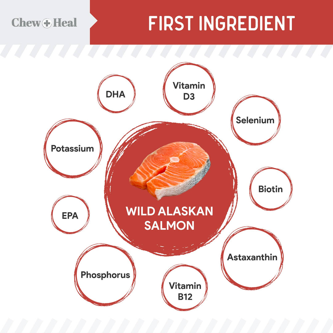 Focus Wild Alaskan Salmon Limited Ingredient Dog Treats: 12oz