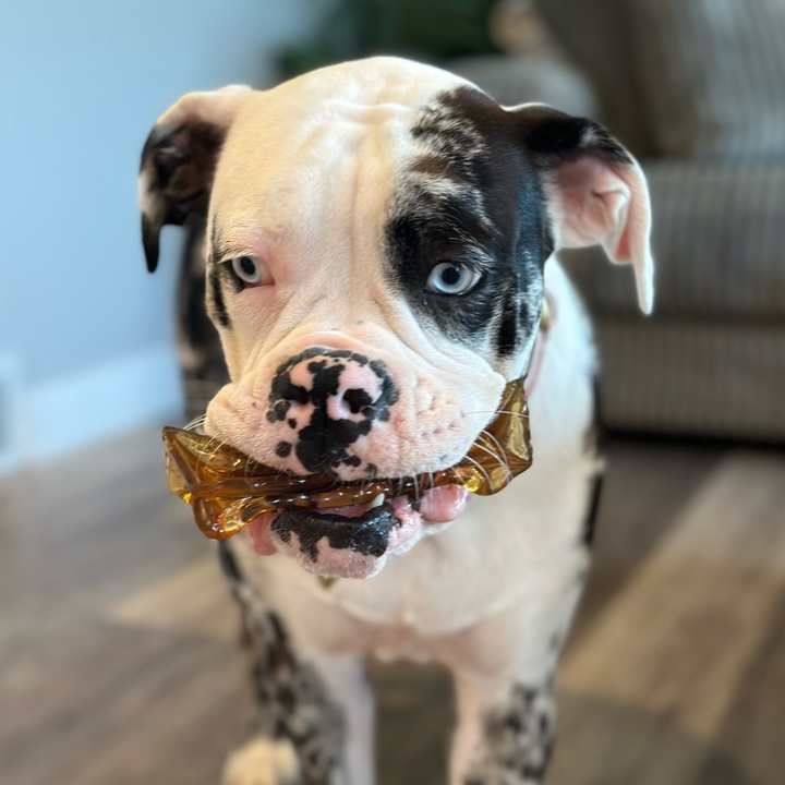 Mighty Marrows Collagen Dental Chew - Spirulina Beef - SM/LG: Large