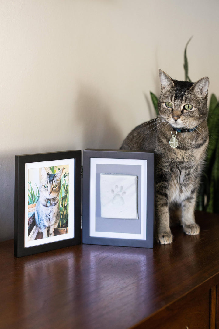 Pawprints Keepsake Photo Frame & Clay Impression Kit in Gray