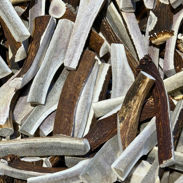 BULK -*SPLIT-CUT* ELK Antler Dog Chews Sold by The Pound: 1LB Large (3+ Antler Chews)