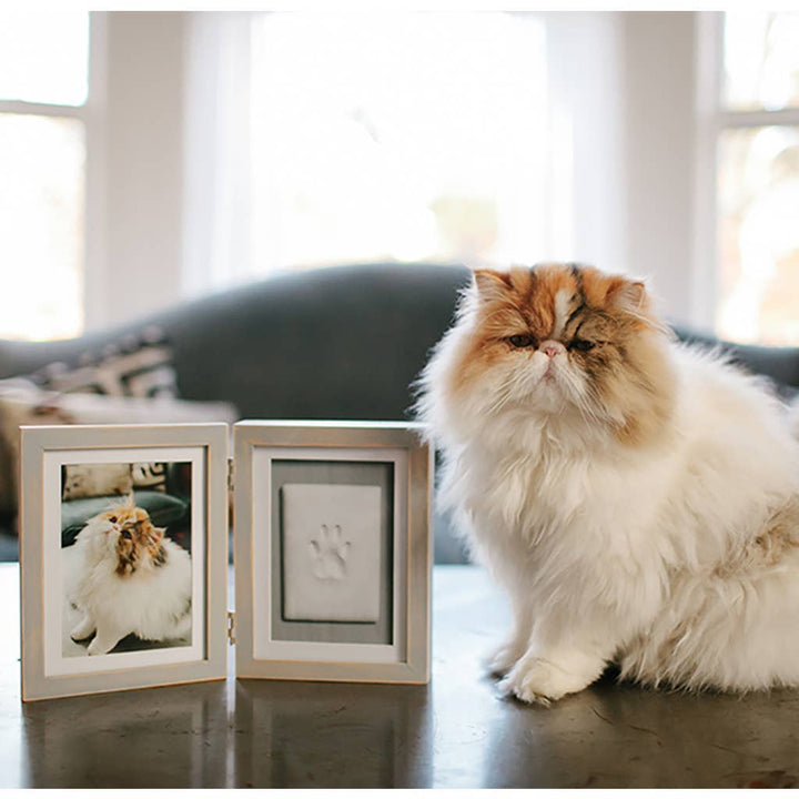 Pawprints Keepsake Photo Frame & Clay Impression Kit in Gray
