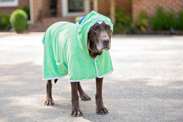 BoxDog Monster Bathrobe - L