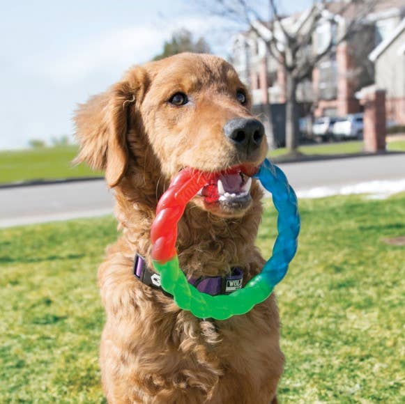 KONG® Twistz Ring Tug Toy Small