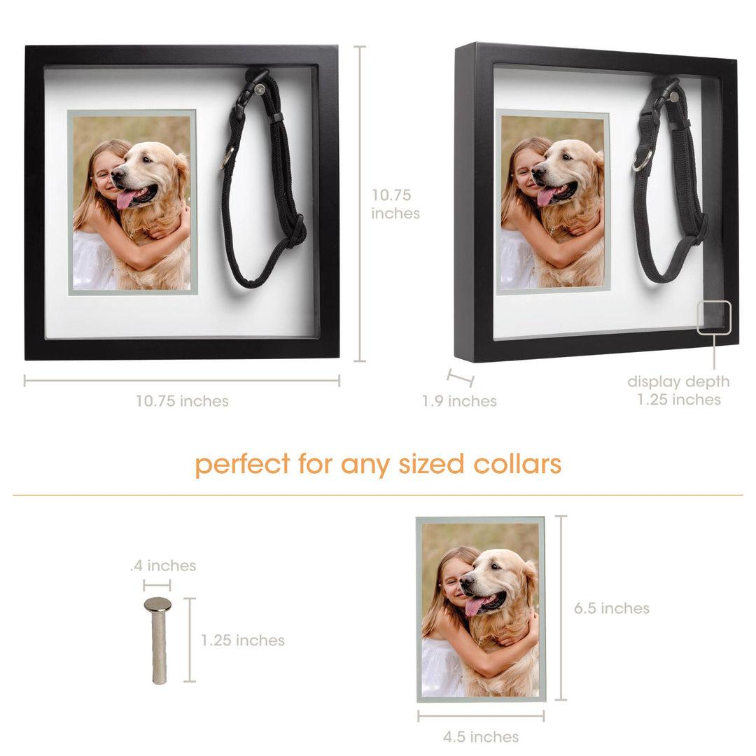 Pet Collar Picture Frame, Black
