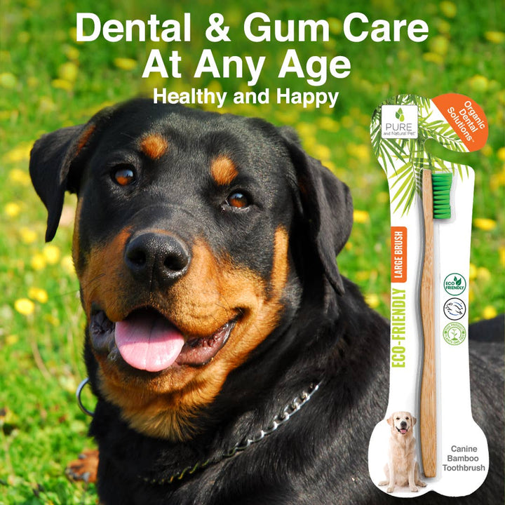 Organic Dental Bamboo Toothbrush for Dogs - Large