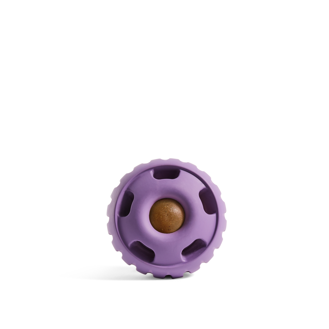 The Pupsicle - Lavender: Large