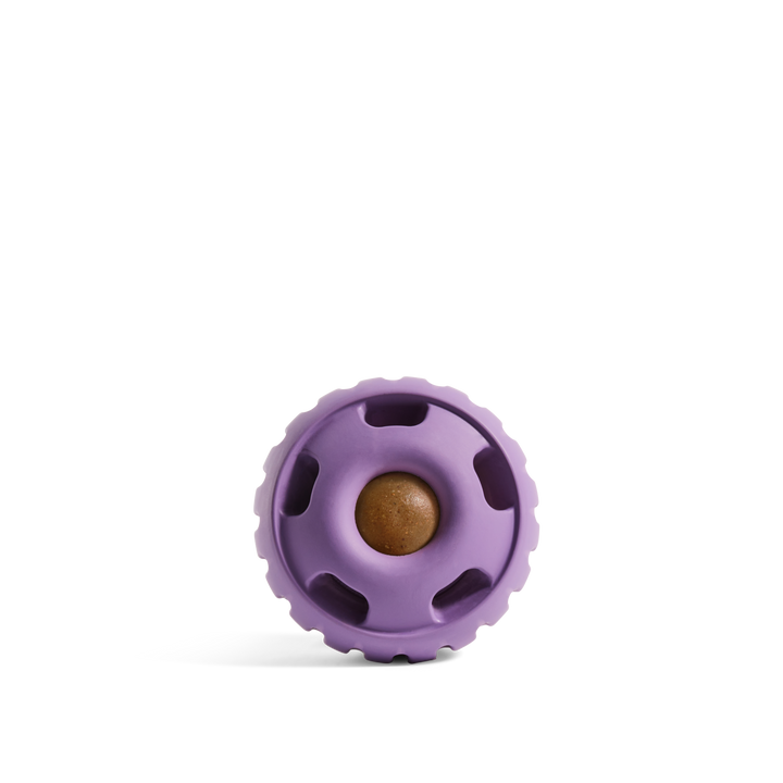 The Pupsicle - Lavender: Large