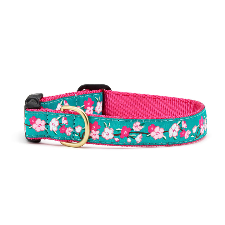 Cherry Blossoms Dog Collar: Large / Wide 1"