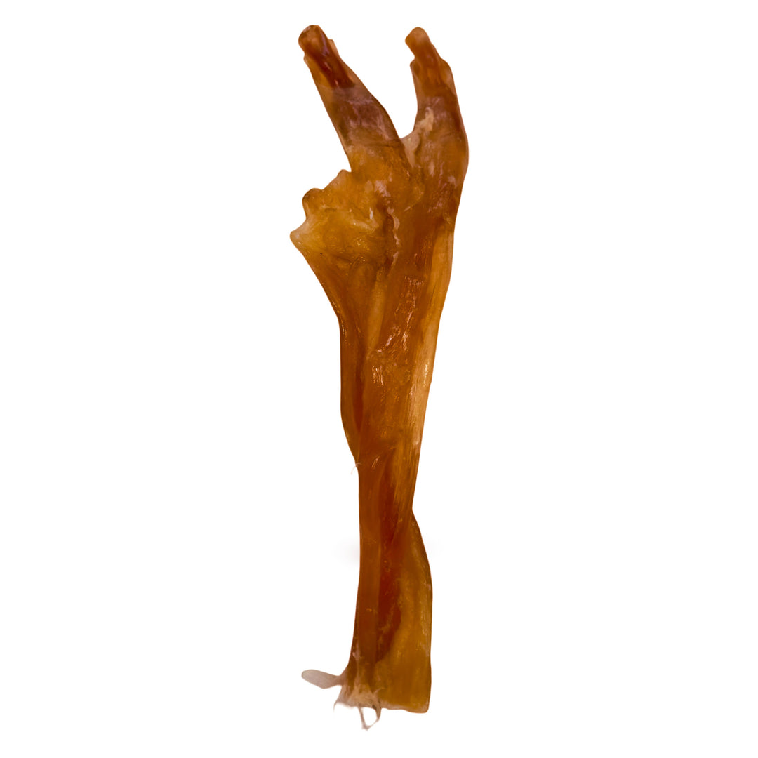 All-Natural Jumbo Beef Y Tendon Chew for Dogs - 6"–9" Inches