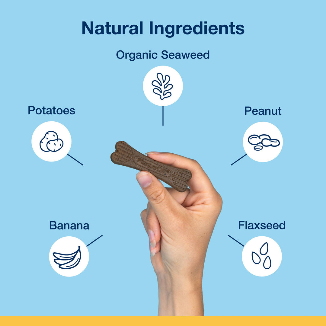 ProDen PlaqueOff System® Mini Dental Care Bones - Banana