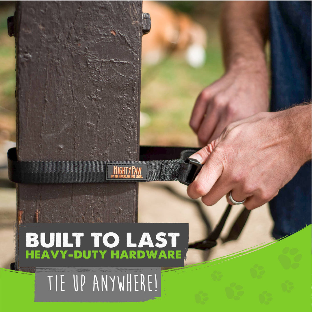 Long Dog Leash: 15 feet