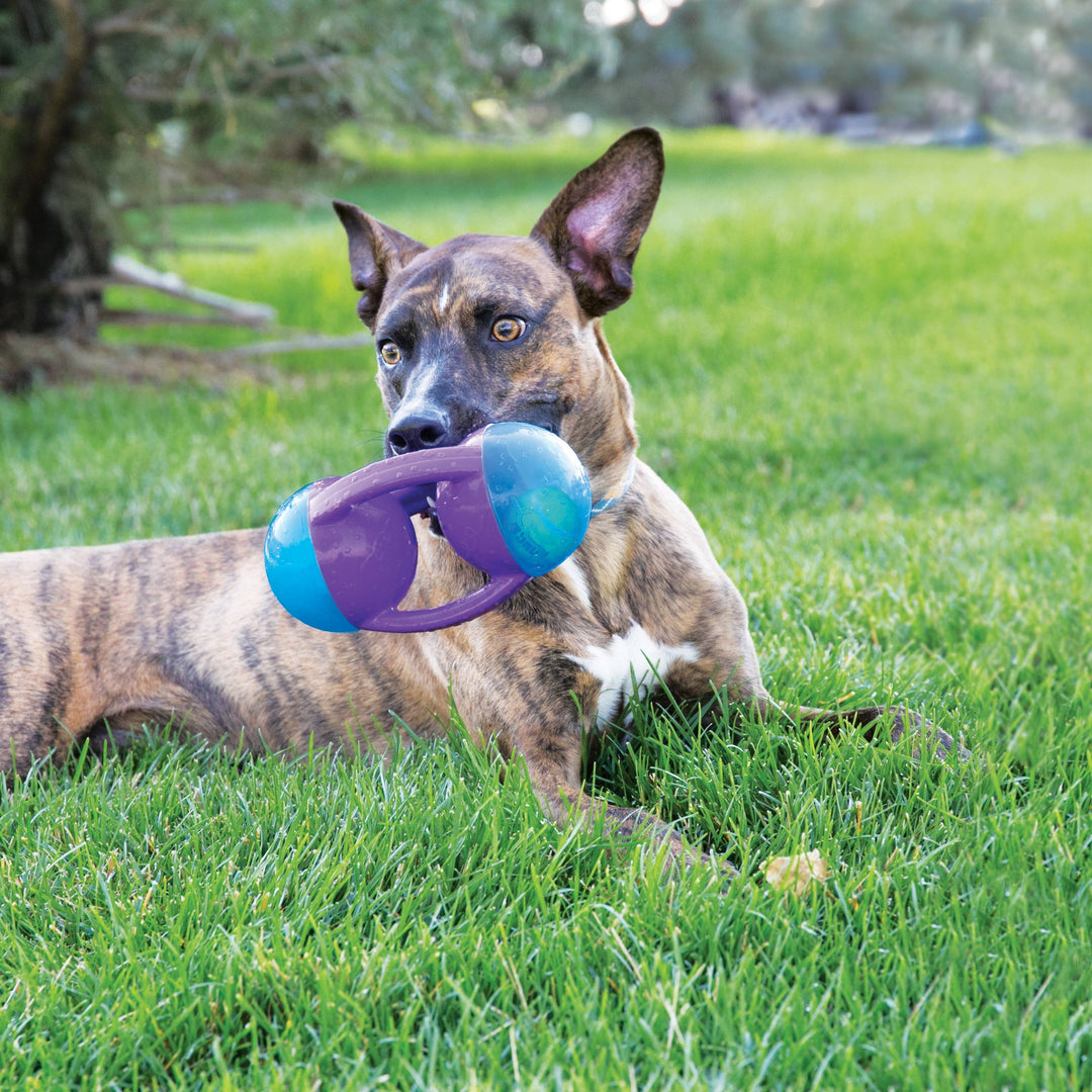 KONG Jumbler Disc Toy