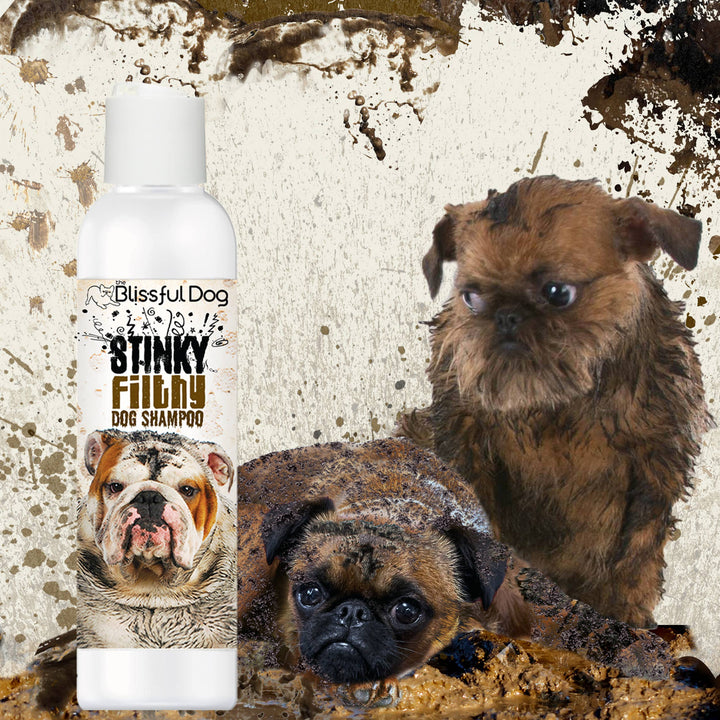 Blissful Dog - Stinky Filthy Shampoo