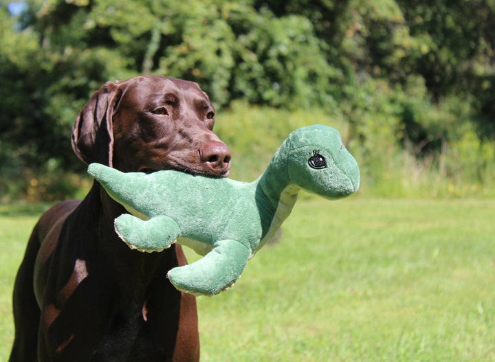 Tall Tails - Nessie Squeaky 13"