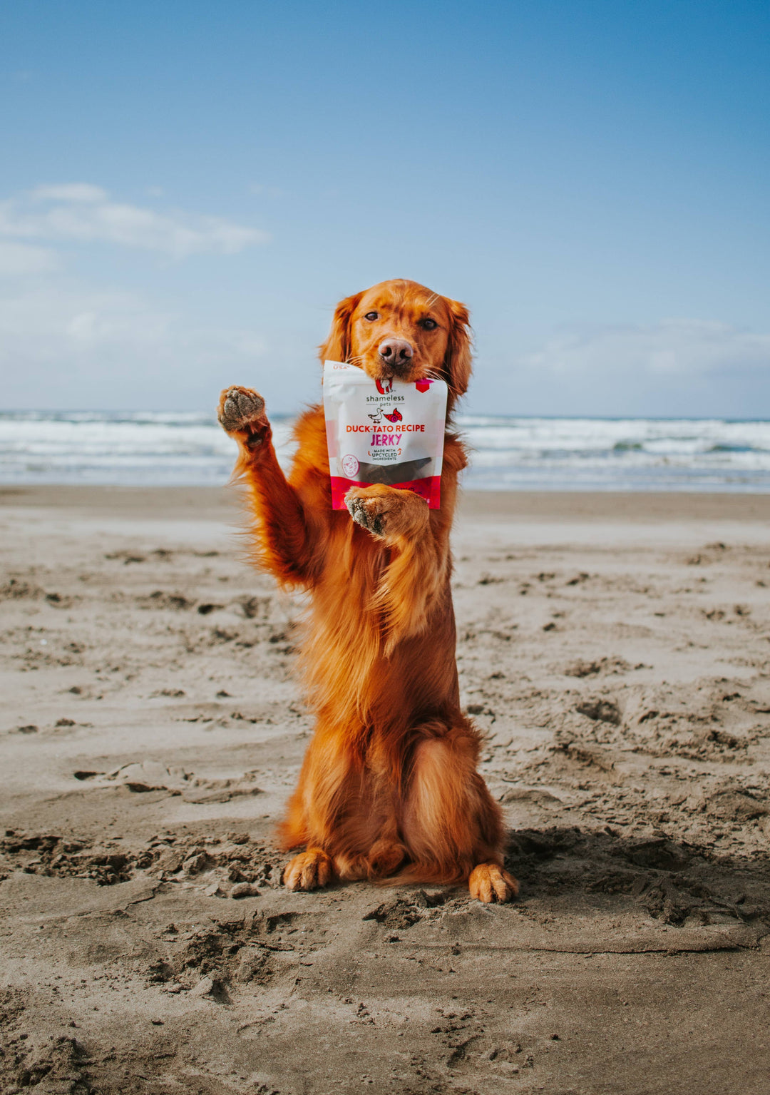 Shameless Pets Duck-Tato Jerky