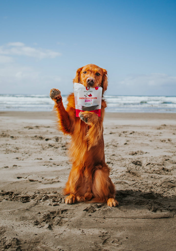 Shameless Pets Duck-Tato Jerky