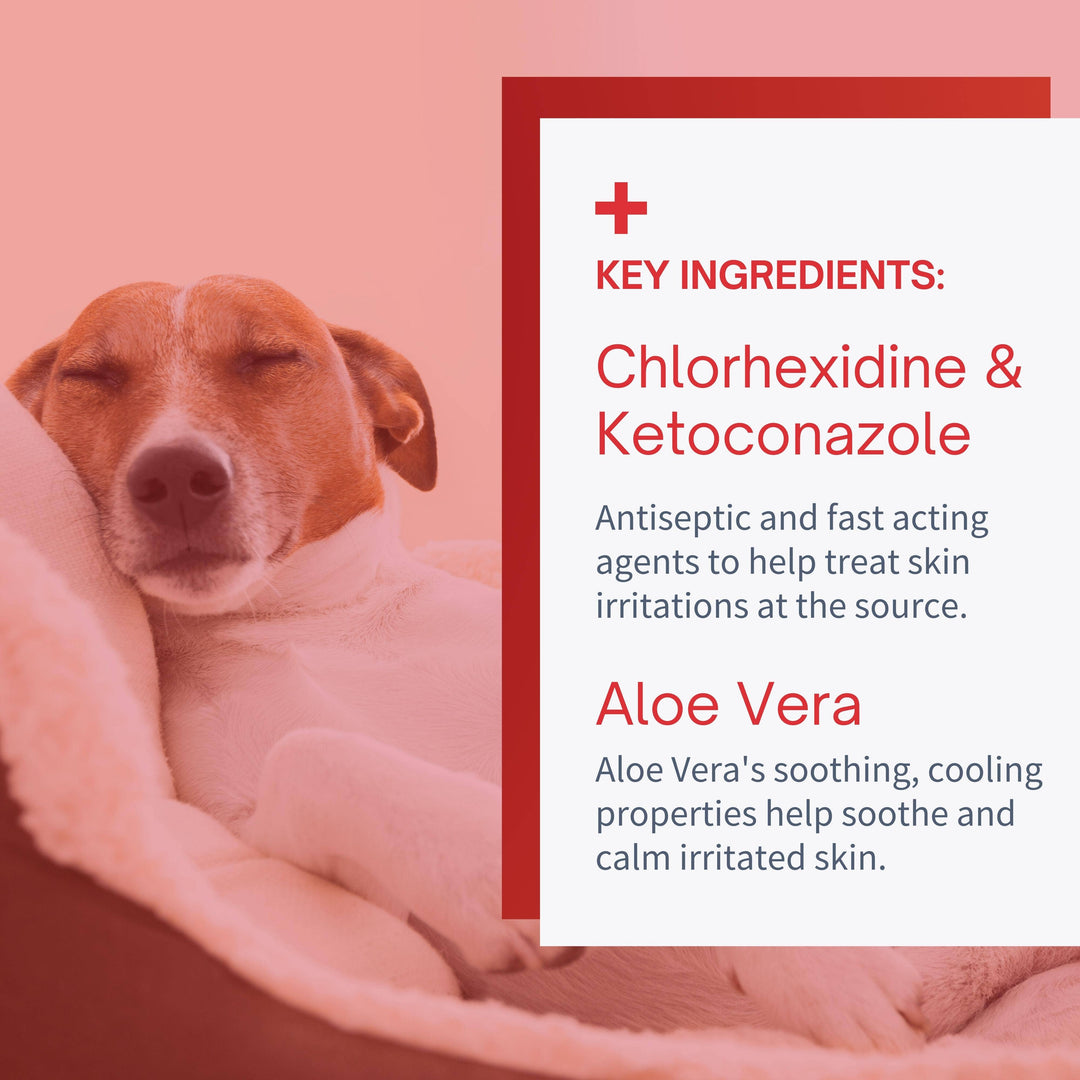 Antiseptic Hot Spot & Rash for Dogs & Cats - 8oz