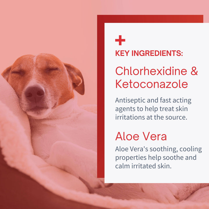 Antiseptic Hot Spot & Rash for Dogs & Cats - 8oz