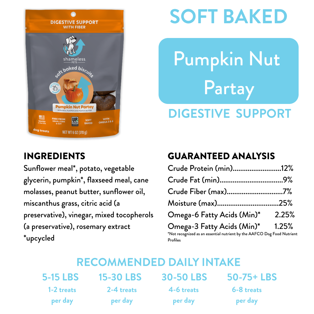 Shameless Pets Pumpkin Nut Par-tay