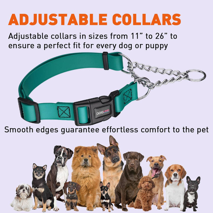 Biothane Adjustable Martingale Collar with Quick Release Buckle: Cerulean Blue / 14"-20" / 1"