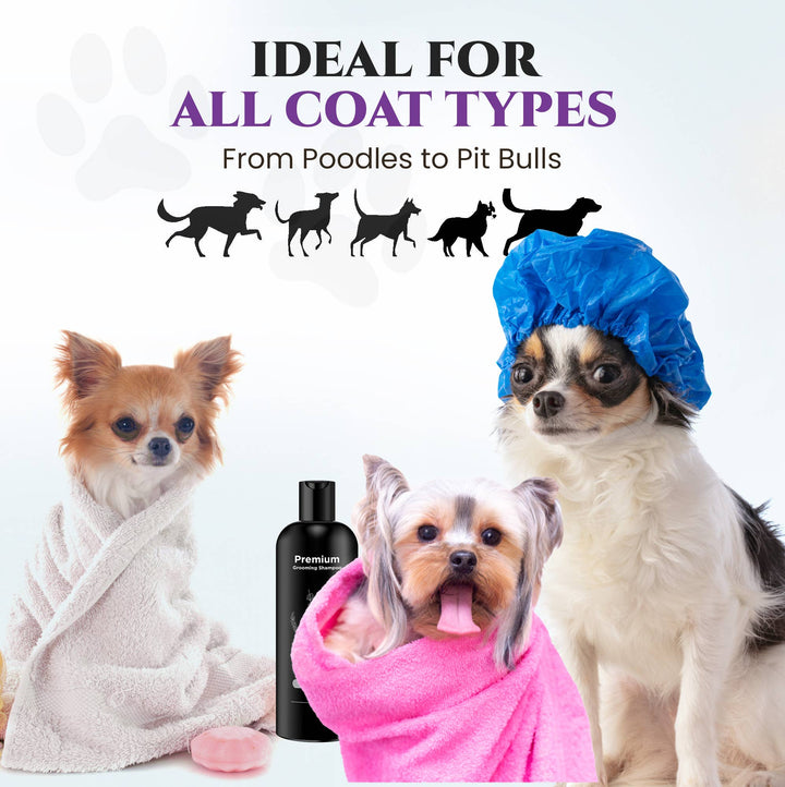 Lavender Shampoo Deodorizer