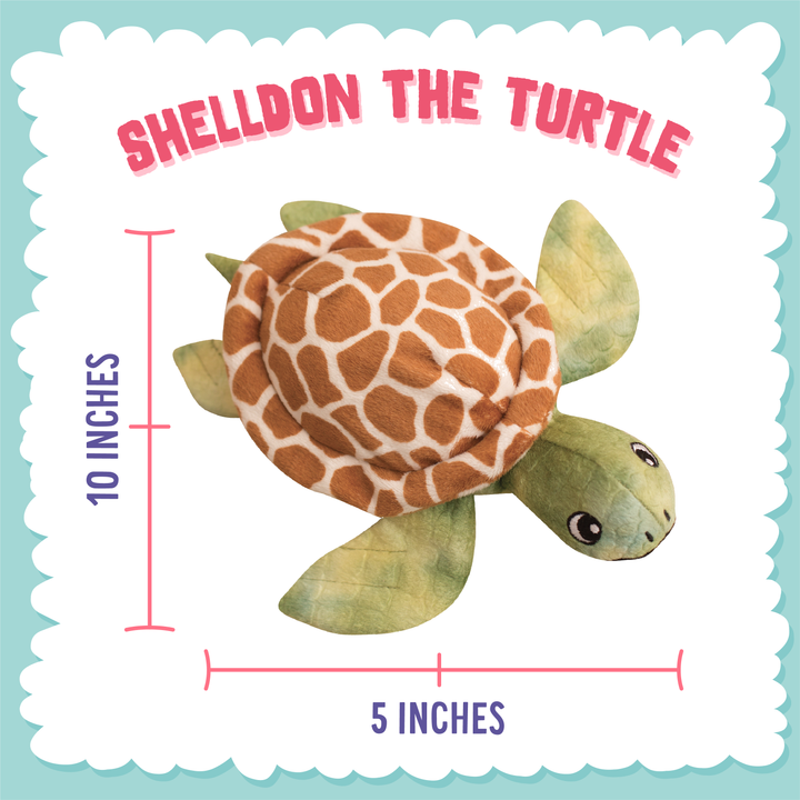 Snugarooz Shelldon the Turtle Toy