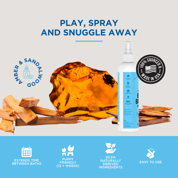 The Only Between Bath Spray Dogs Need - Amber & Sandalwood: 8 ounce