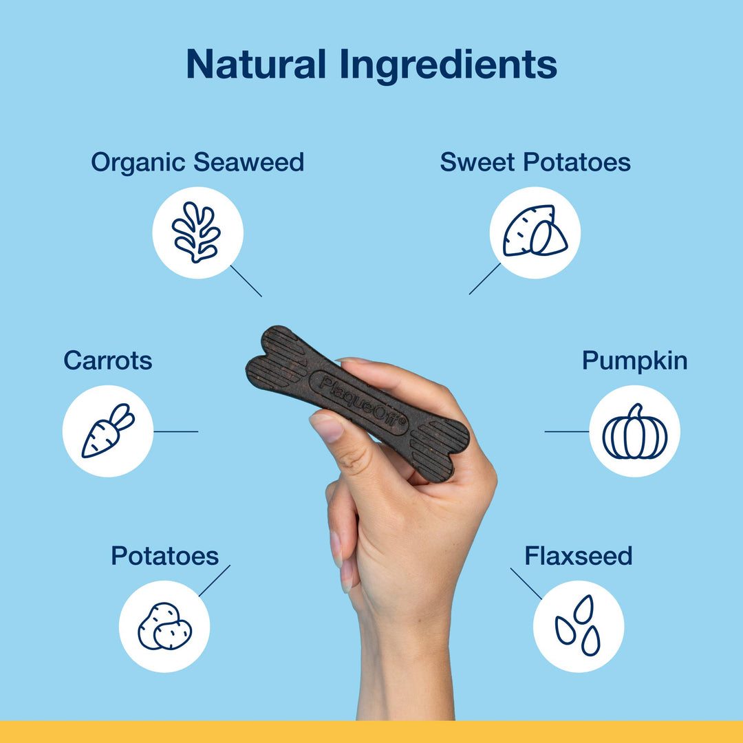 ProDen PlaqueOff® Dental Care Bones - Vegetable Fusion