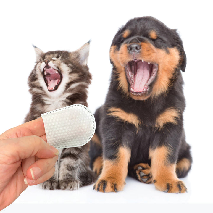 Pure & Natural Pet Dental Wipes for Cats and Dogs