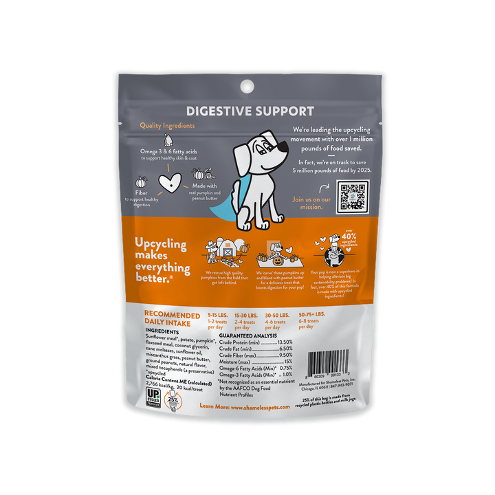Shameless Pets Pumpkin Nut Par-tay