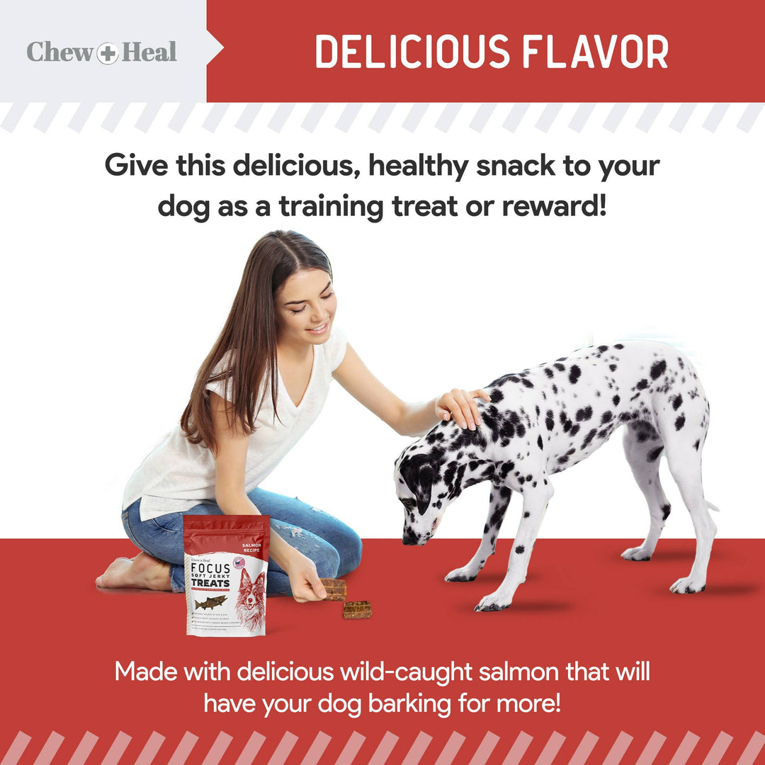Focus Wild Alaskan Salmon Limited Ingredient Dog Treats: 12oz