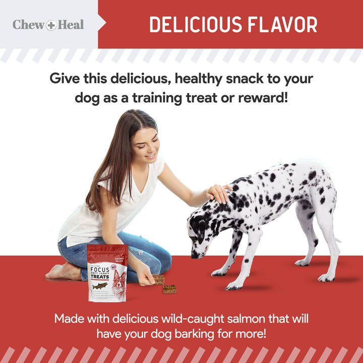 Focus Wild Alaskan Salmon Limited Ingredient Dog Treats: 12oz