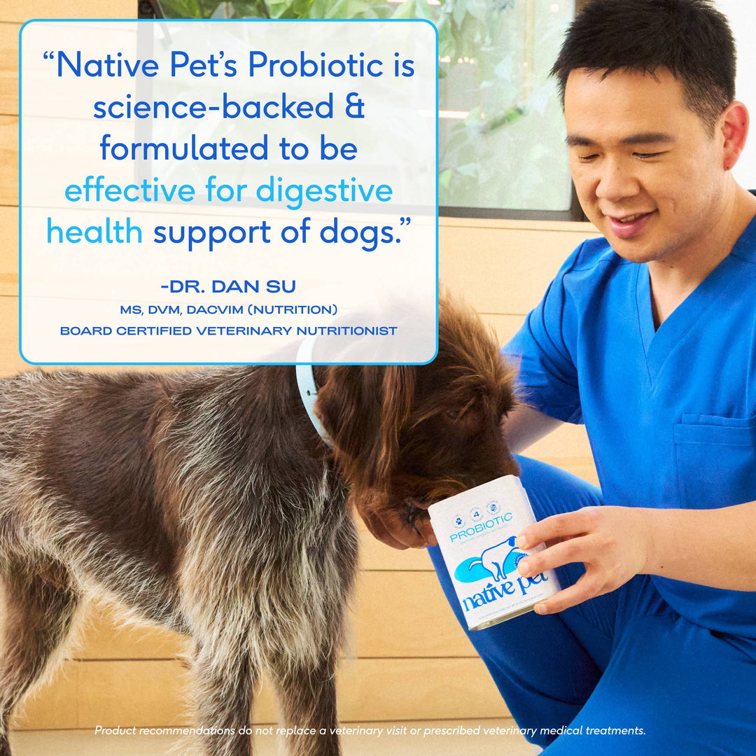 Probiotic & Prebiotic Powder Vet-Formulated Supplement: 8.2 oz