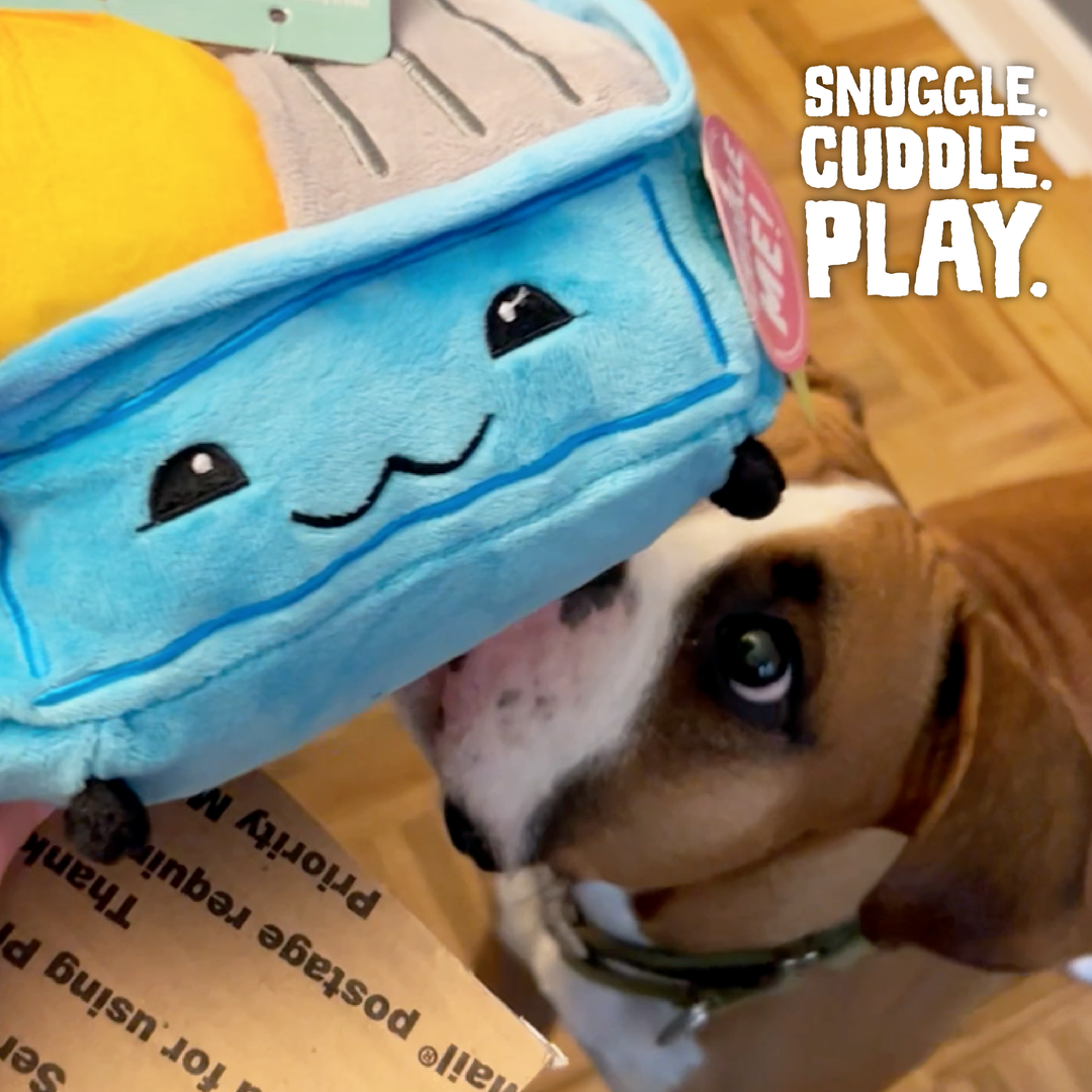 Snugarooz Dumpster Fire Toy