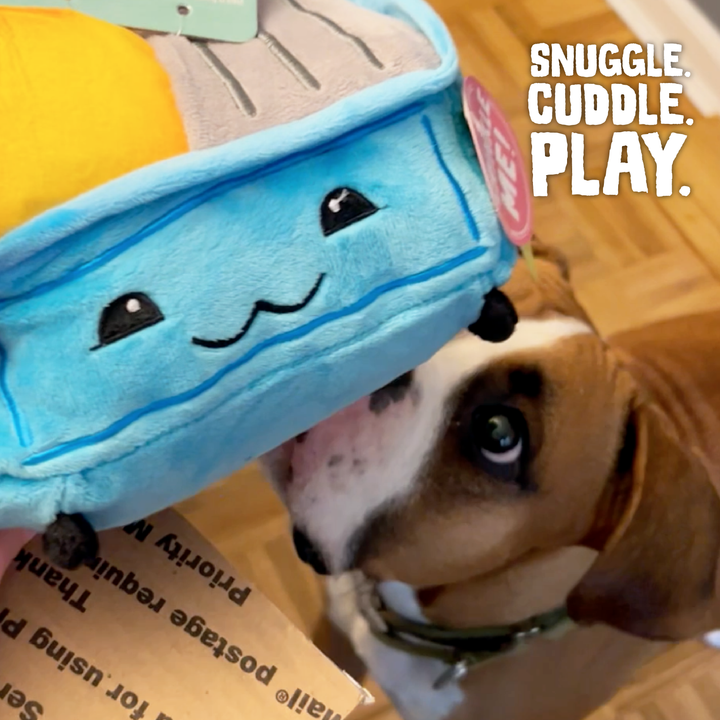 Snugarooz Dumpster Fire Toy