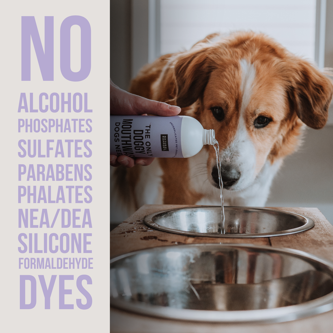 The Only Doggy Mouthwash Dogs Need: 16 ounce