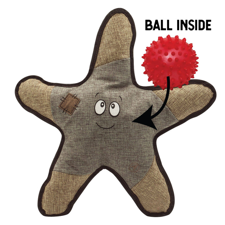Snugarooz Sophie the Starfish Toy 2-in-1