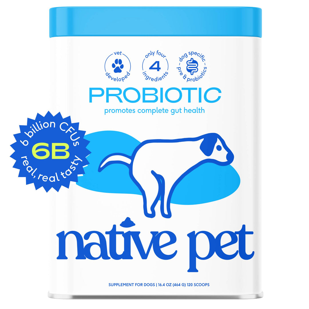 Probiotic & Prebiotic Powder Vet-Formulated Supplement: 8.2 oz